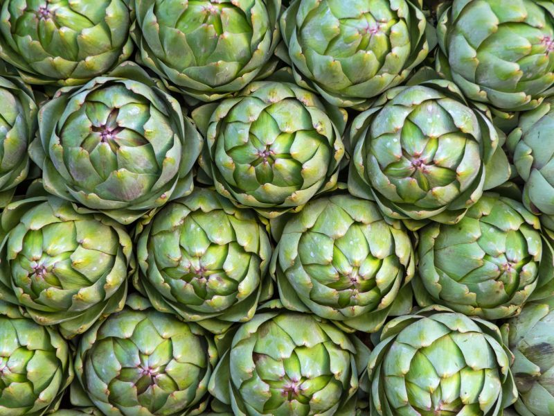 background with artichoke flower, photo use for design advertising, trade and more