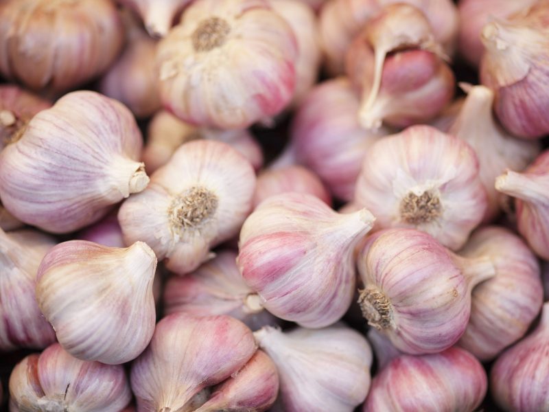 Garlic in the Farmer's market in Vancouver, Canada.